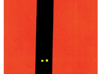 saeed behdad 14