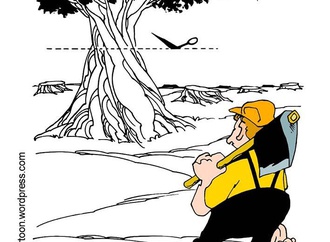 carlos amorim brazil 78