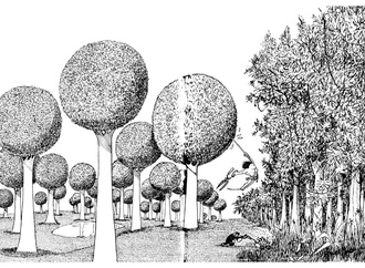 Gallery of 60 years cartoons by Quino-Argentina