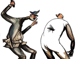 darko drljevic fly500