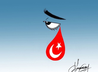 bulent oktay turkey2