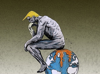 cartoon section76