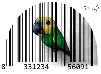 dalcio machado brazil 74