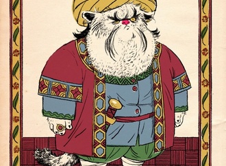 mohammad aflak7