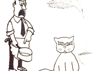quino