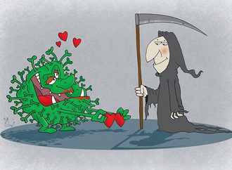 farhad gharamaleki iran4