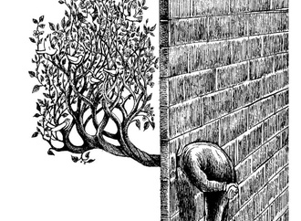 mohsen nouri najafi 7