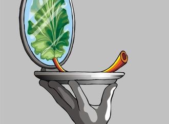 Finalists of 6th International Rhubarb Cartoons Contest, Romania 2024