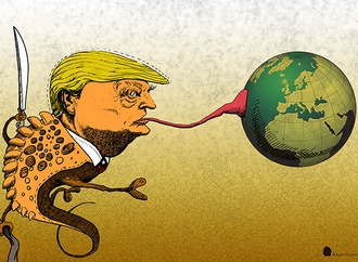 cartoon section73
