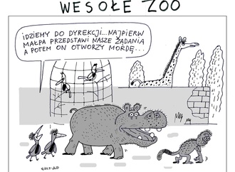 maciej trzepaka22