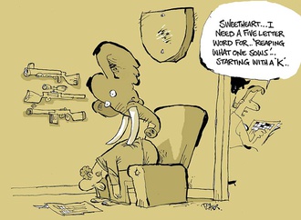 peter player 11