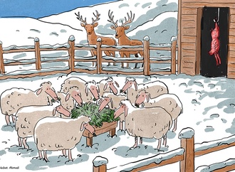 heibat ahmadi iran1 4