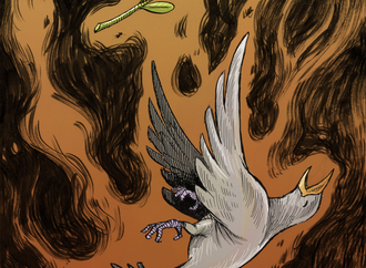 Gallery of Cartoons by Dario Castillejos From Mexico