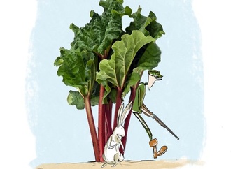 Gallery:6th International Rhubarb Cartoons Contest, Romania 2024