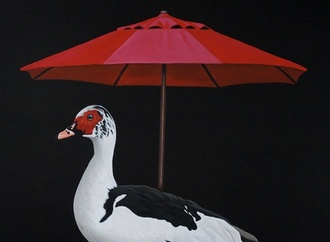 robert deyber usa 84