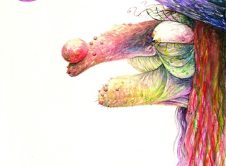 biry sarkis brazil 88