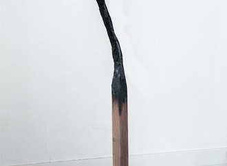 zoran petrovic9