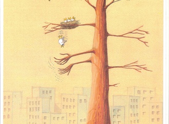 cezmi ermis turkey 42