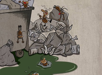 marzieh khanizadeh 15