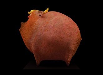 mohammadjavad ahmadi iran