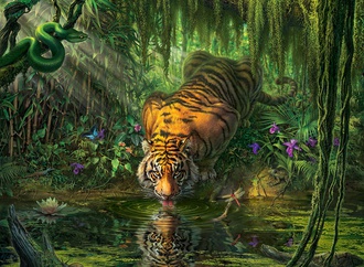 Gallery of Cartoons & Illustration by mark fredrickson-USA