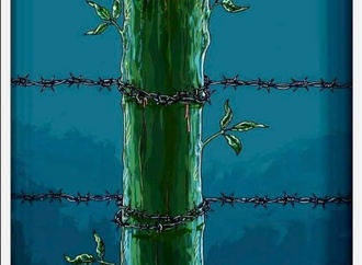 raul de la nuez0