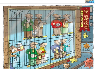 Gallery of Cartoon by Nikola Listes-Croatia