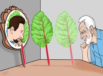 Gallery:6th International Rhubarb Cartoons Contest, Romania 2024