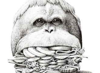 Gallery of Cartoon by Redmer Hoekstra-Netherland