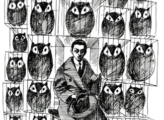 javad alizadeh iran 101