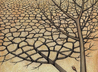 mohammadali khalaji 5