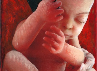 luc descheemaeker belgium 69