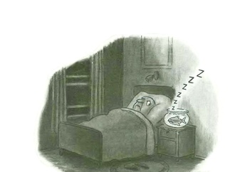 sam gross the new yorker 1973