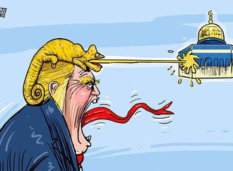 cartoon section444