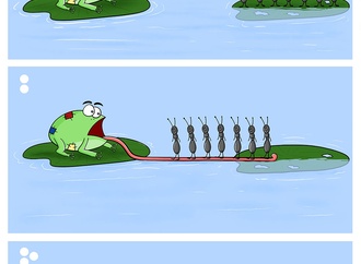 ameen alhabarah saudi arabia 13