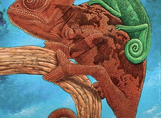 Finalists | 47th Humor Exhibition of Piracicaba | 2020 part 3