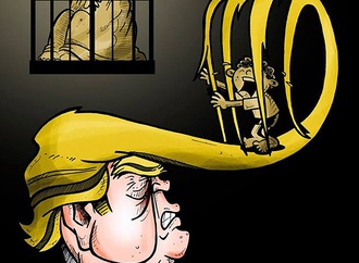 cartoon section117