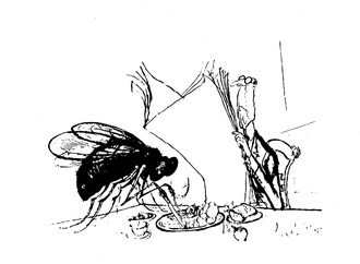 ronald searle 17