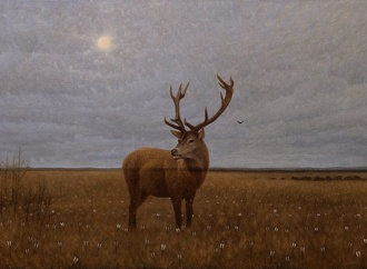 konstantin korobov5