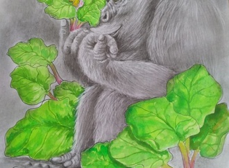 Gallery:6th International Rhubarb Cartoons Contest, Romania 2024