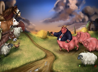 cartoon section77