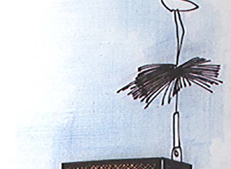 ahmet umit akkoca turkey