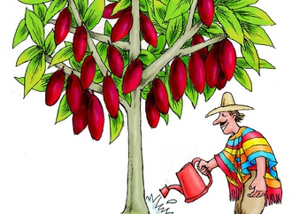 Gallery of Cartoon by Lido Contemori-Italy