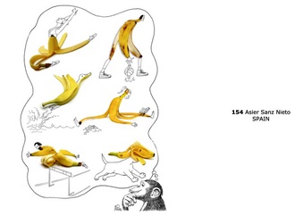 animal contest41
