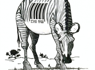vladimir balcar3