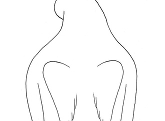zardoyacuba_1593607841_2343674901443376816_5764095200