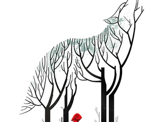 cristiano salgado portugal 37