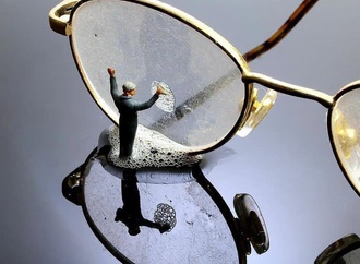 by cathy scola