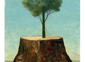 the environment