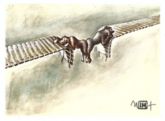 mihai ignat489